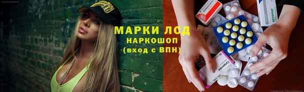 крисы Алзамай