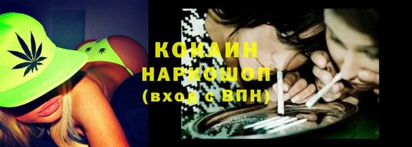 соль ск Алексин