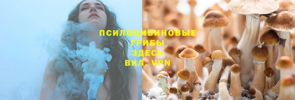 крисы Алзамай