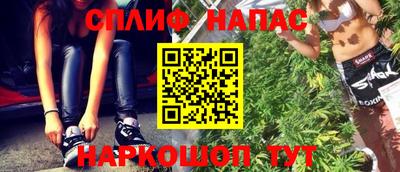 амф Гатчина