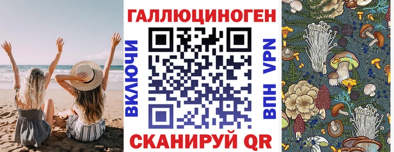 где можно купить наркотик мега зеркало Псилоцибиновые грибы ЛСД Муравленко